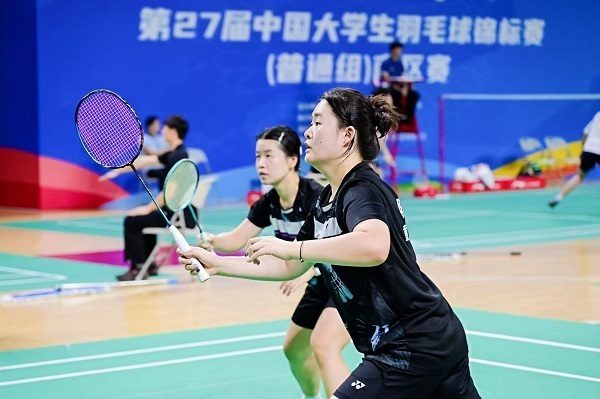 大项目, 专业运行 大项目, 专业运行