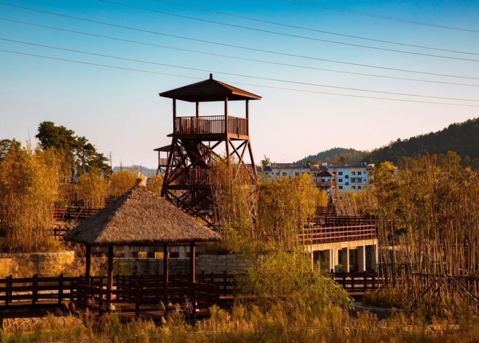 操大赛, 直播遵义 操大赛, 直播遵义